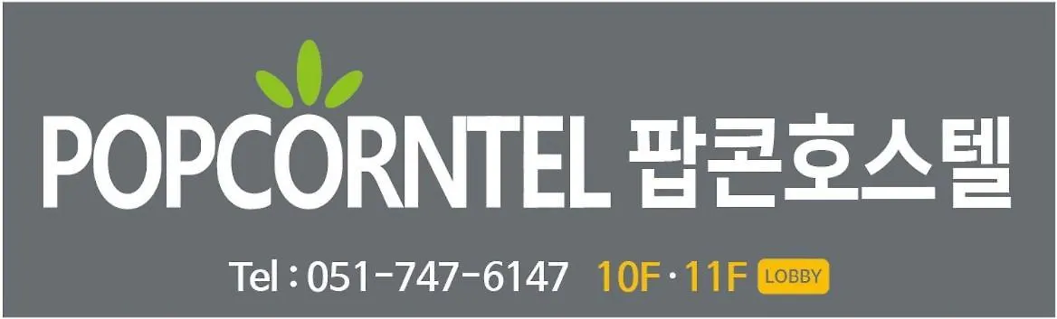 부산 팝콘 호스텔 부산광역시